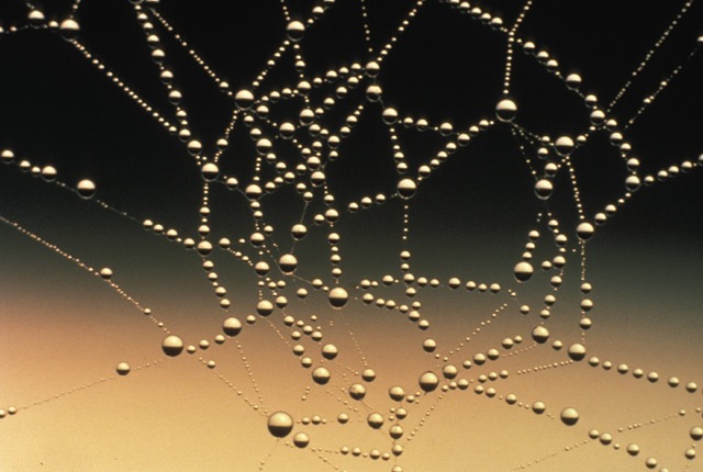 water web 640x430
