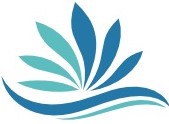 Small Color Logo